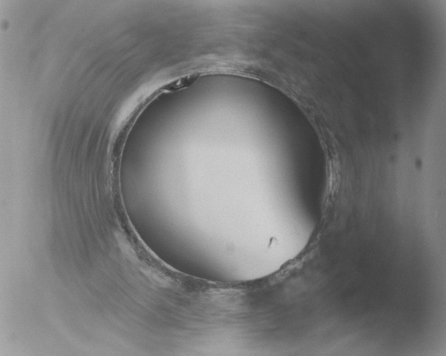 X0000051920150200507152106