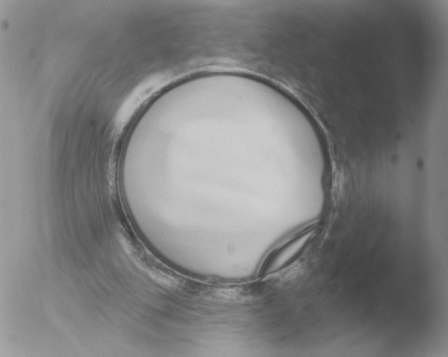 X0000051920151200507152106