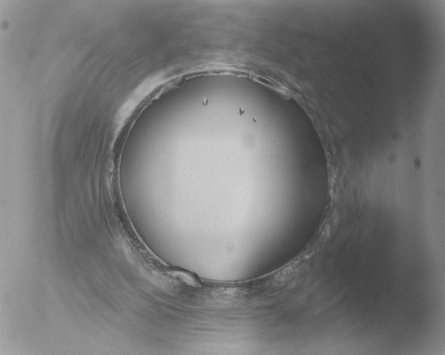 X0000051920152200507152106