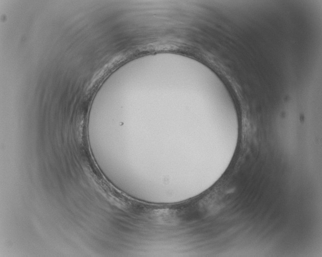 X0000051920153200507152106