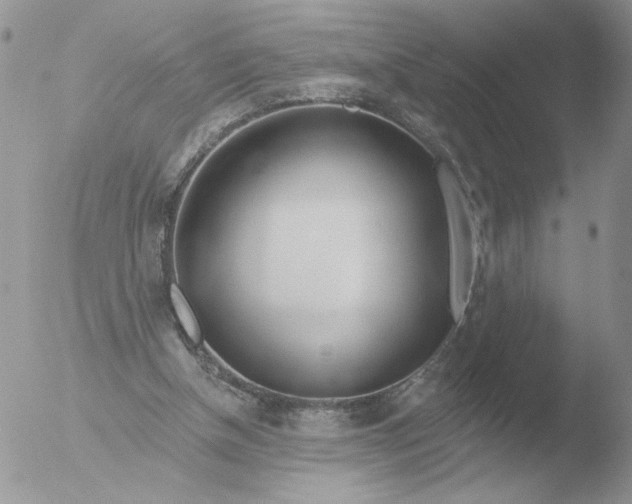 X0000051920154200507152106