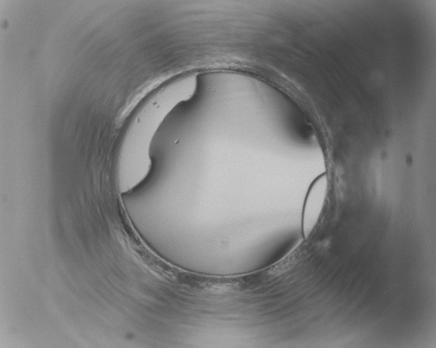 X0000051920155200507152106