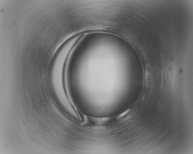 X0000051920156200507152106