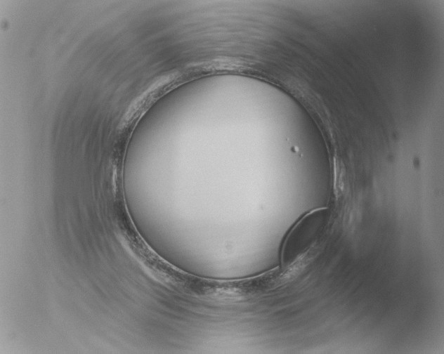 X0000051920157200507152106