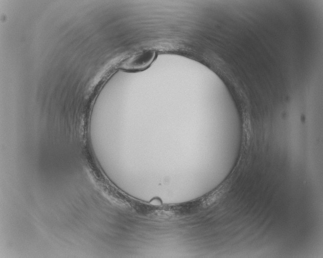 X0000051920159200507152106