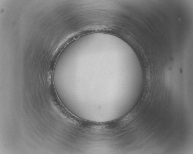 X0000051920160200507152106