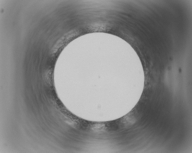 X0000051920162200507152106