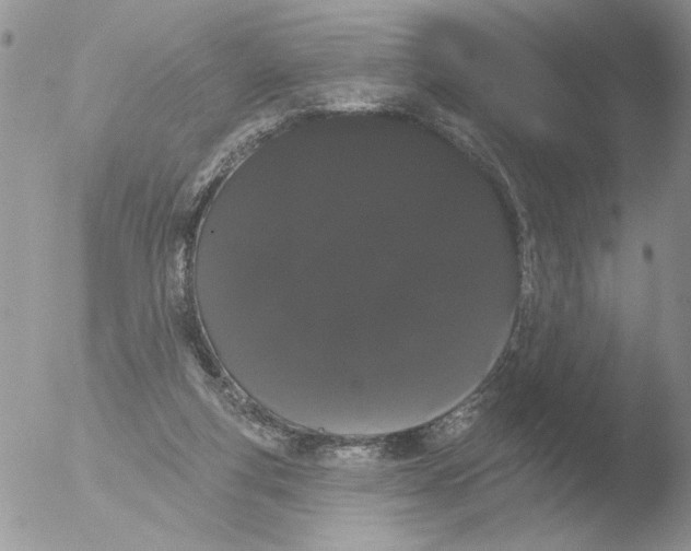 X0000051920163200507152106