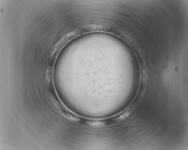 X0000051920165200507152106