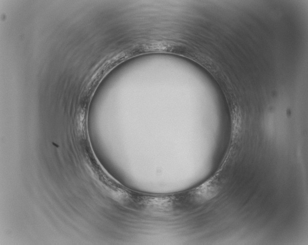 X0000051920166200507152106