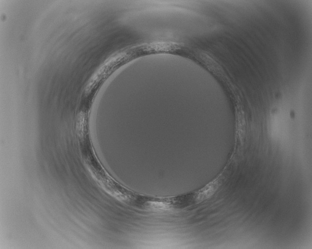 X0000051920167200507152106