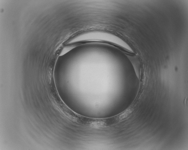 X0000051920168200507152106