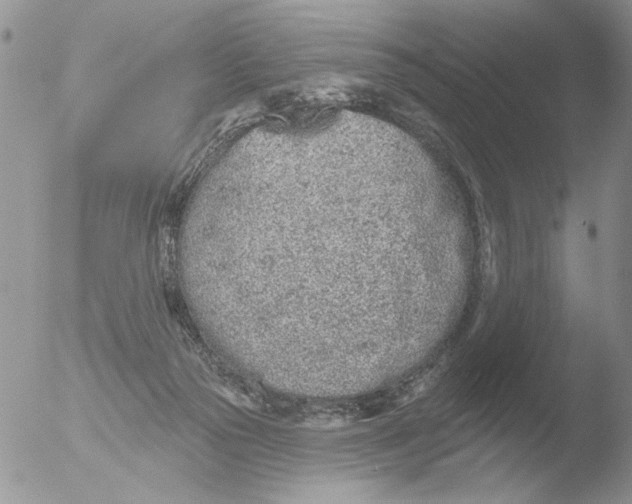 X0000051920169200507152106