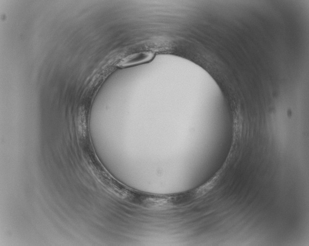 X0000051920170200507152106