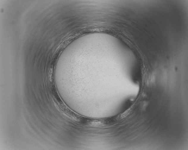 X0000051920171200507152106