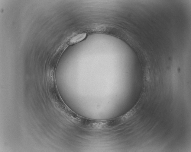 X0000051920172200507152106