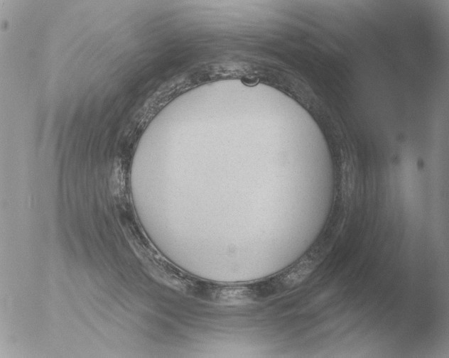 X0000051920173200507152106