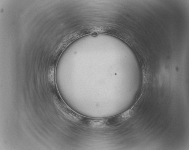 X0000051920175200507152106