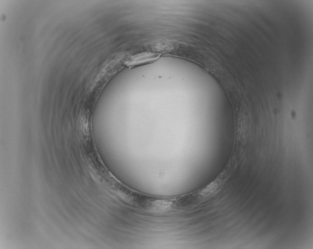 X0000051920176200507152106