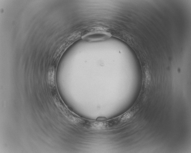 X0000051920177200507152106