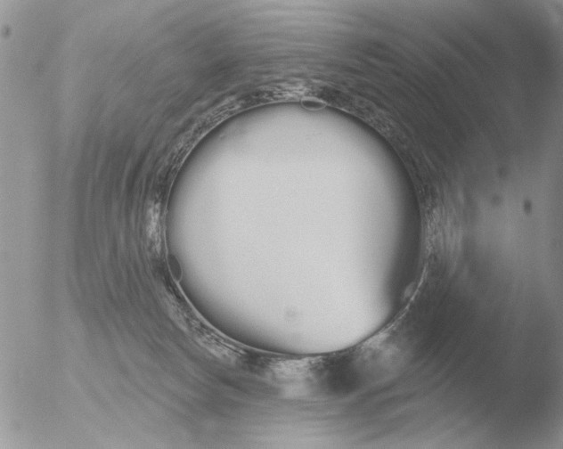 X0000051920178200507152106