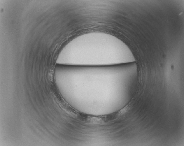 X0000051920180200507152106