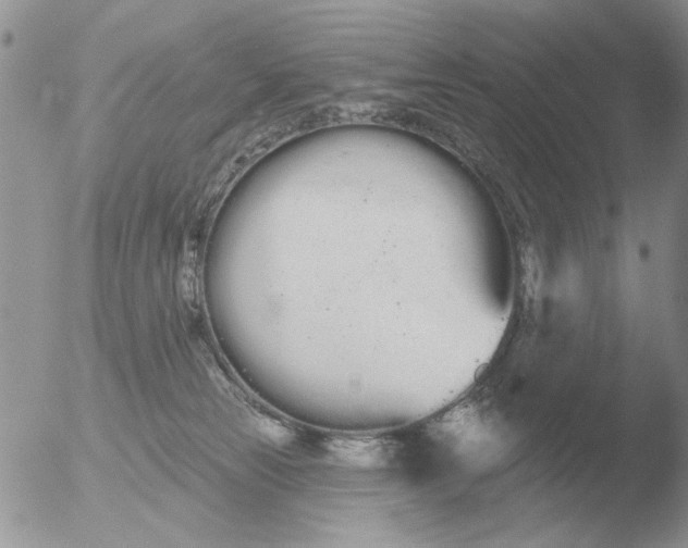 X0000051920181200507152106