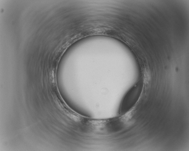 X0000051920182200507152106