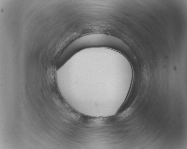 X0000051920184200507152106