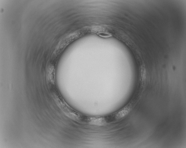 X0000051920185200507152106