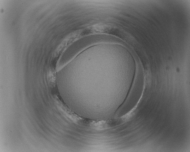 X0000051920186200507152106