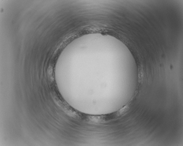 X0000051920187200507152106