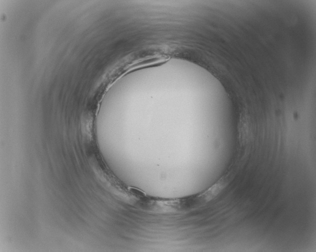 X0000051920188200507152106