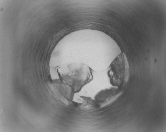 X0000051920189200507152106