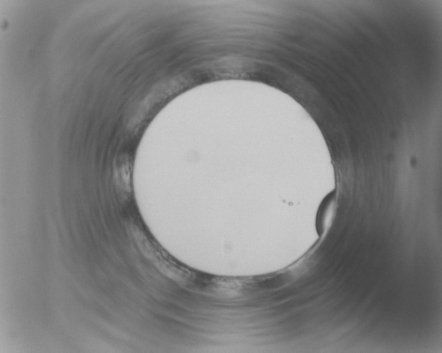 X0000051920190200507152106