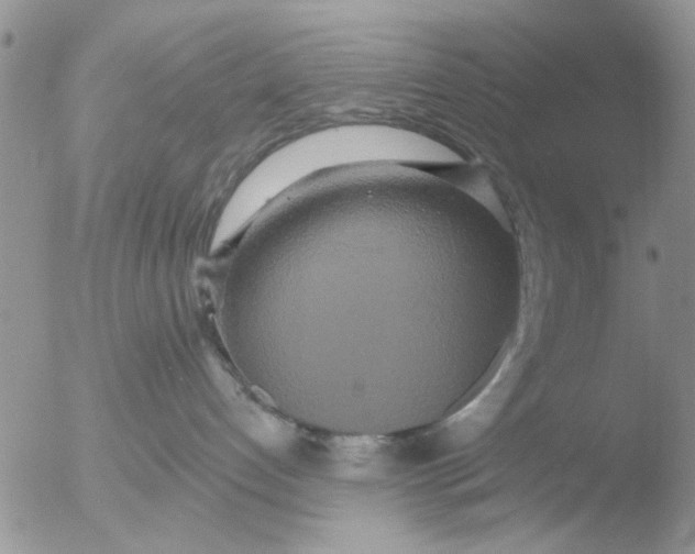 X0000051920192200507152106