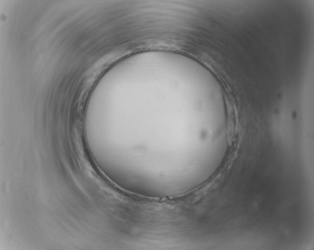 X0000051920193200507152106