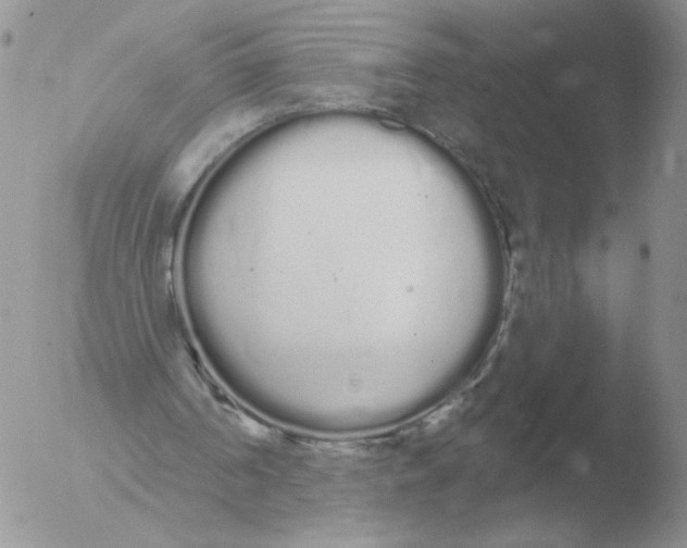 X0000051920194200507152106