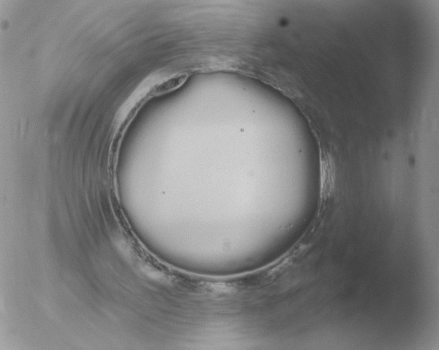 X0000051920195200507152106