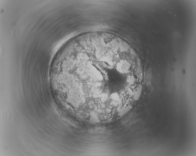 X0000051920196200507152105