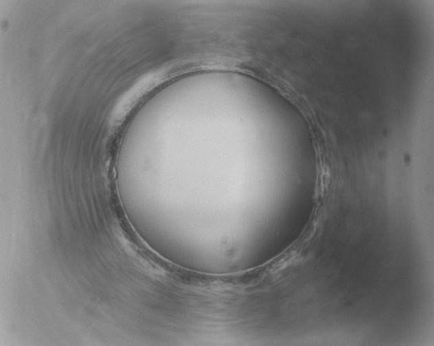 X0000051920197200507152105