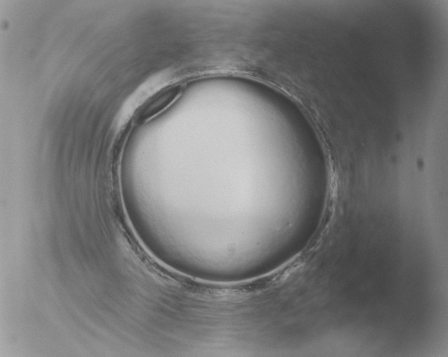 X0000051920198200507152105