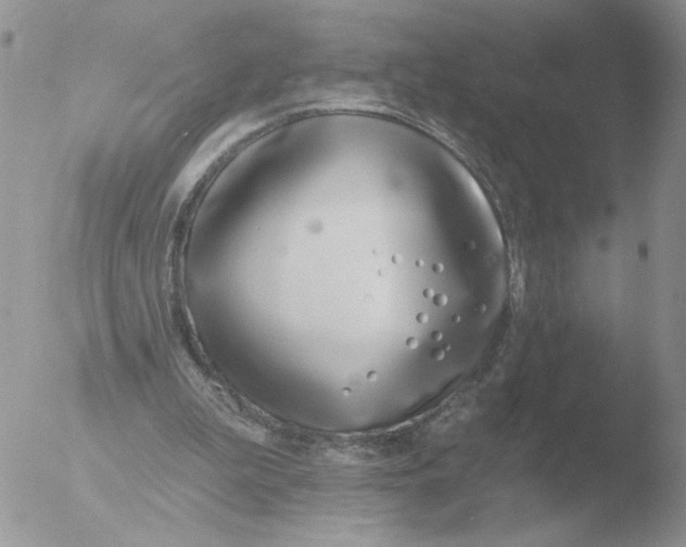 X0000051920199200507152105