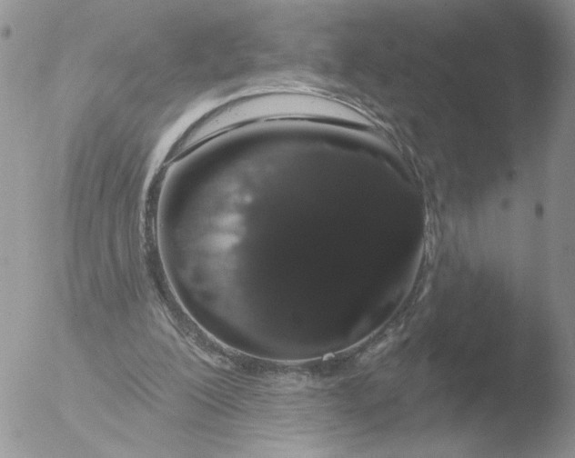 X0000051920200200507152105