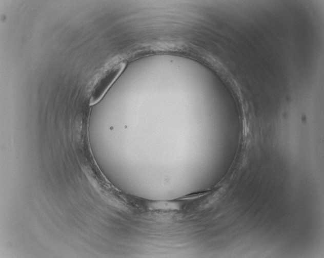 X0000051920201200507152105