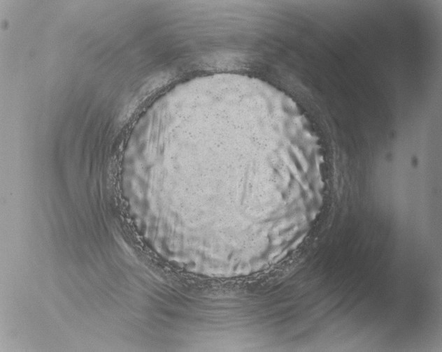 X0000051920202200507152105