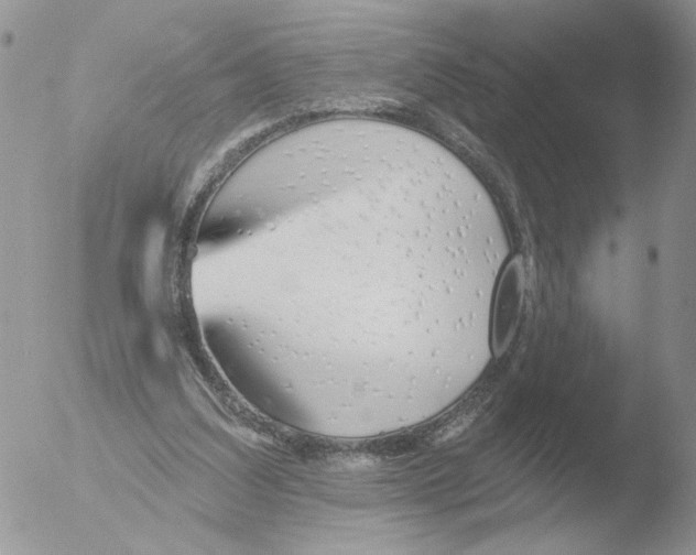 X0000051920203200507152105