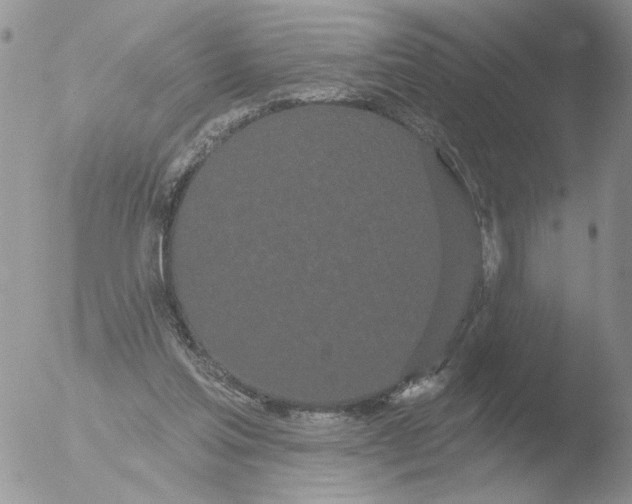 X0000051920205200507152105