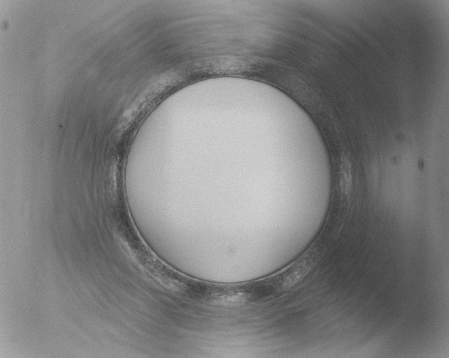 X0000051920206200507152105