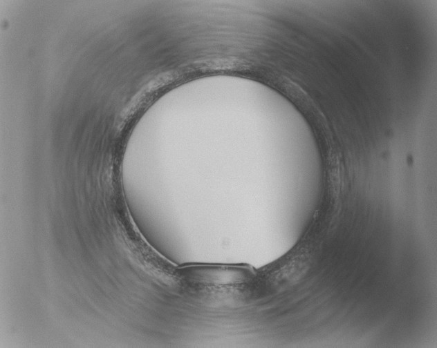 X0000051920207200507152105